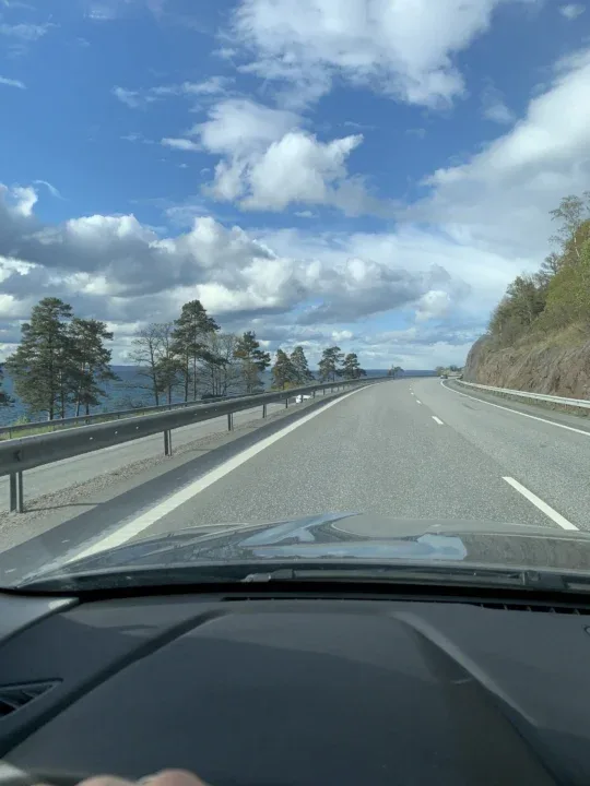 Swedish Couple Svenska OnlyFans model